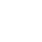 Optimize imports icon