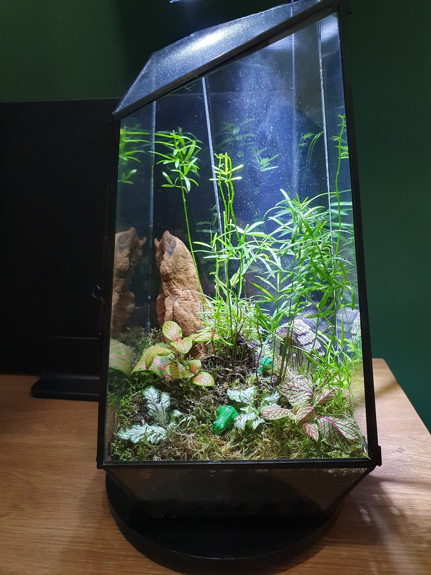 Mossarium
