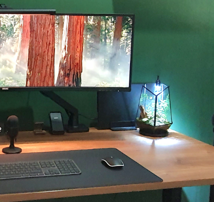 Mossarium on my desk next to the monitor