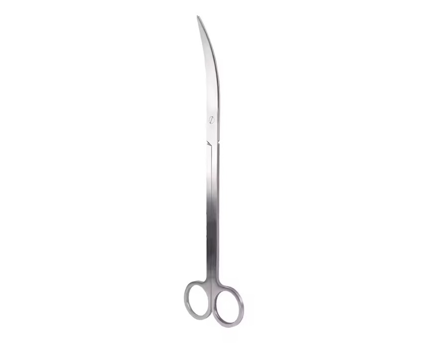Curved stainless steel scissors