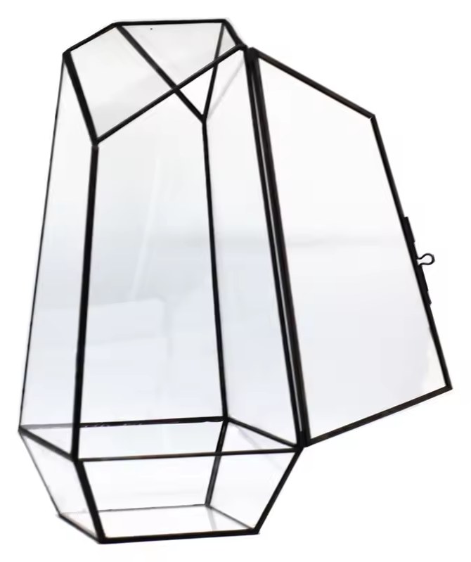 Moss terrarium glass