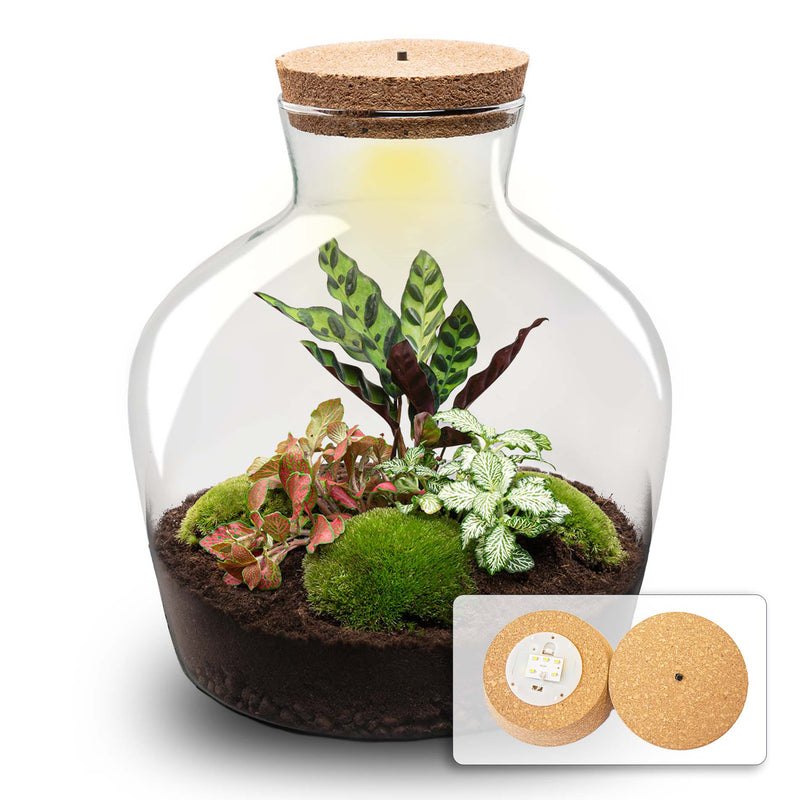 Woonhero.nl terrariums