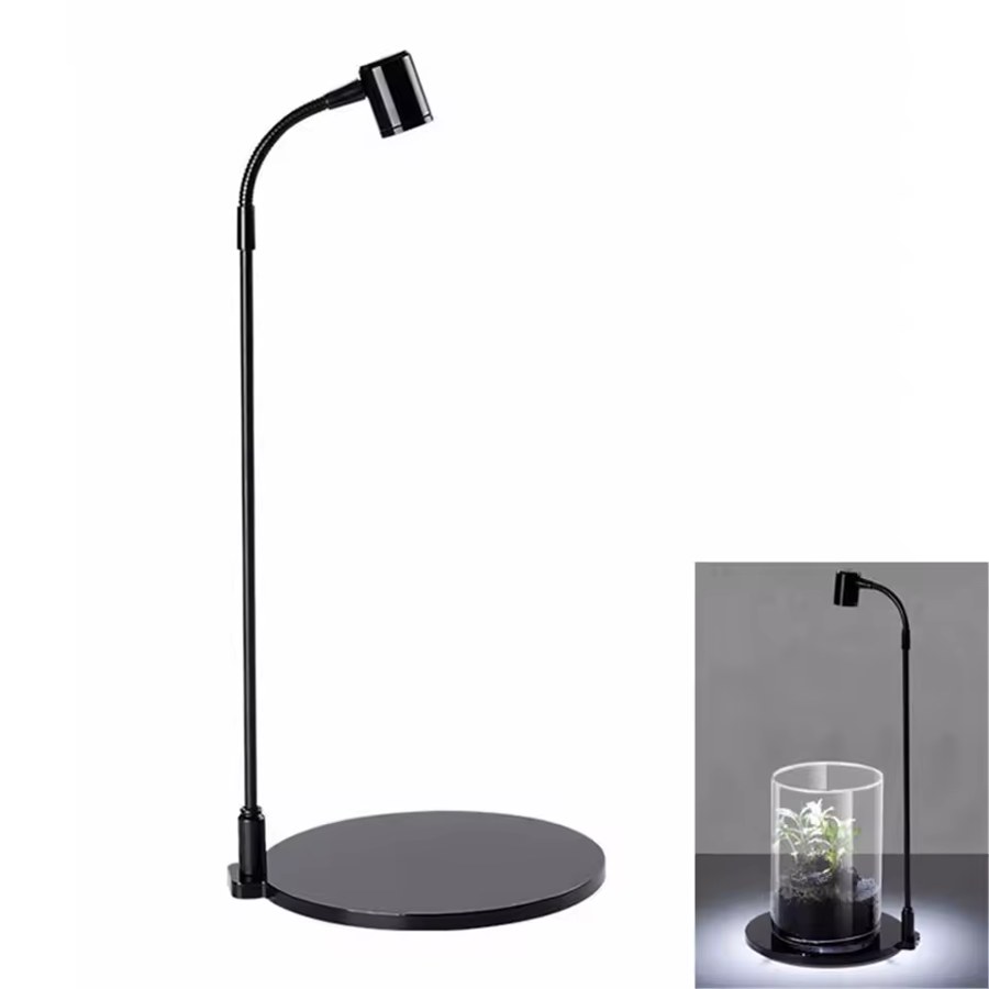 Top light